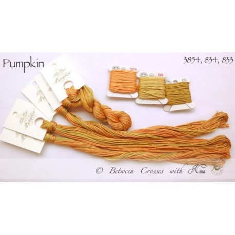 Pumpkin - Nina's Threads