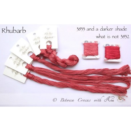 Rhubarb - Nina's Threads