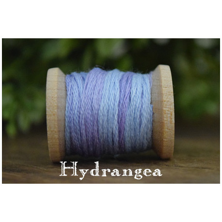Hydrangea - CC018