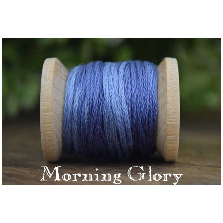 Morning Glory - CC 206