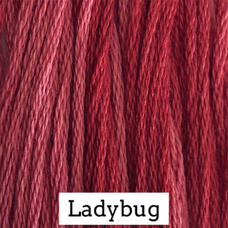 Ladybug - CC190