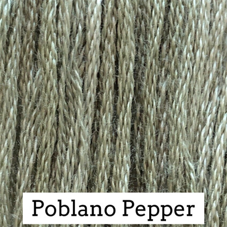 Poblano Pepper - CC 069