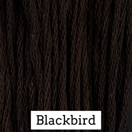 Blackbird - CC 164