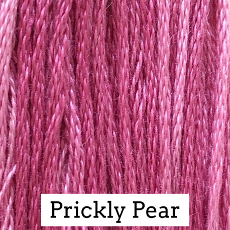 Prickly Pear - CC025