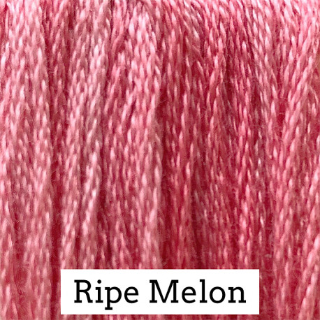Ripe Melon - CC026