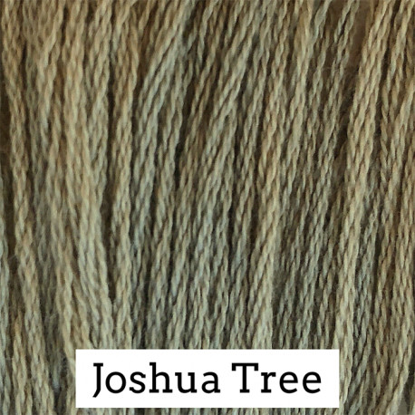Joshua Tree - CC 146
