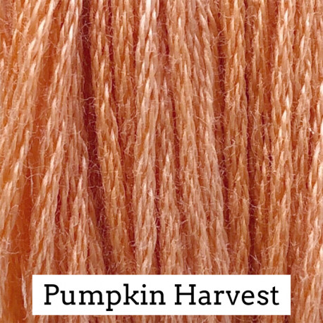 Pumpkin Harvest- CC057