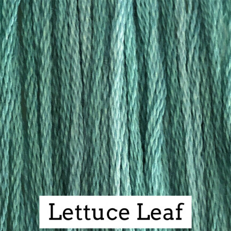 Lettuce Leaf - CC020