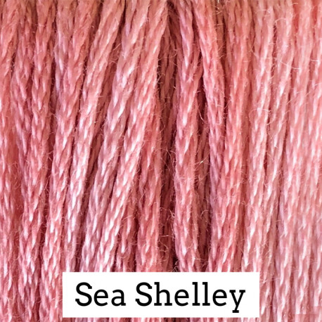 Sea Shelley - CC202