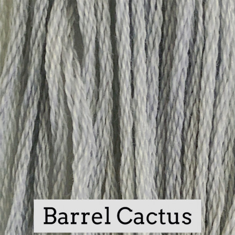 Barrel Cactus - CC 031