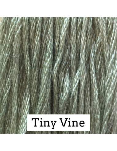 Tiny vine- CC 205