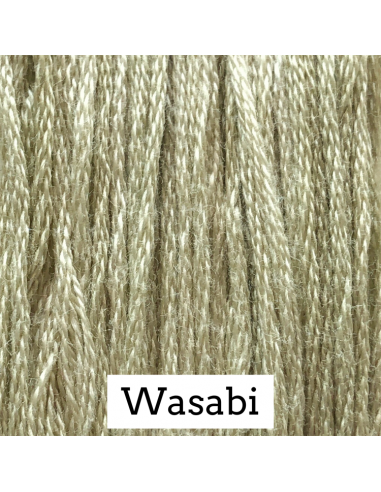 Wasabi - CC 113