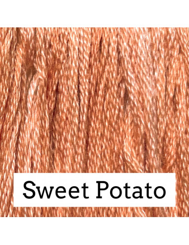 Sweet potato CC 260