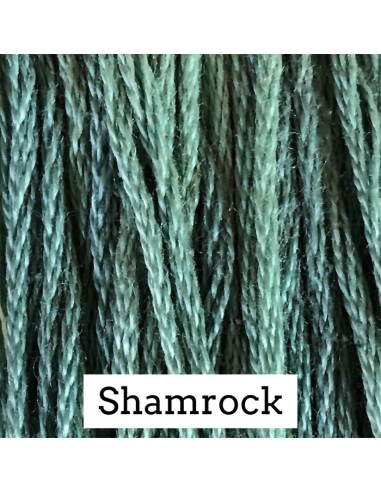 Shamrock - CC028