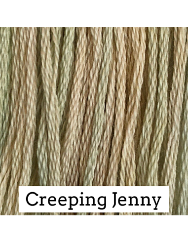 Creeping Jenny - CC138