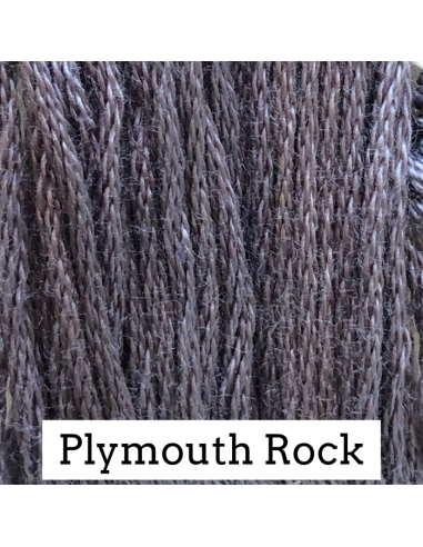 Plymouth Rock - CC163